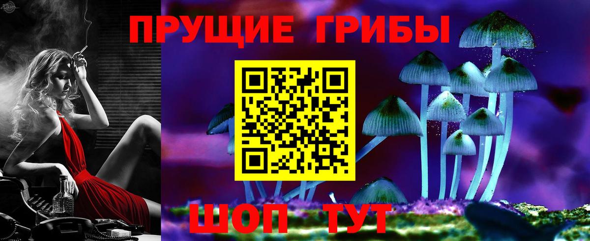 Галлюциногенные грибы Magic Shrooms  Вход с VPN  купить наркоту  Барабинск  Галлюциногенные грибы ЛСД 